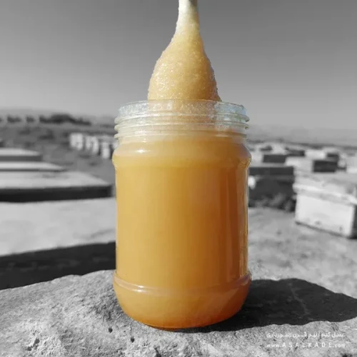 عسل بهارنارنج خام ارگانیک